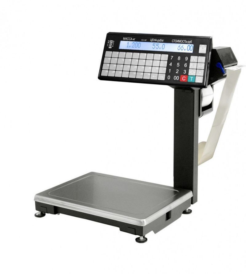 ВПМ-32.2-Т1 Весы электронные печатающие